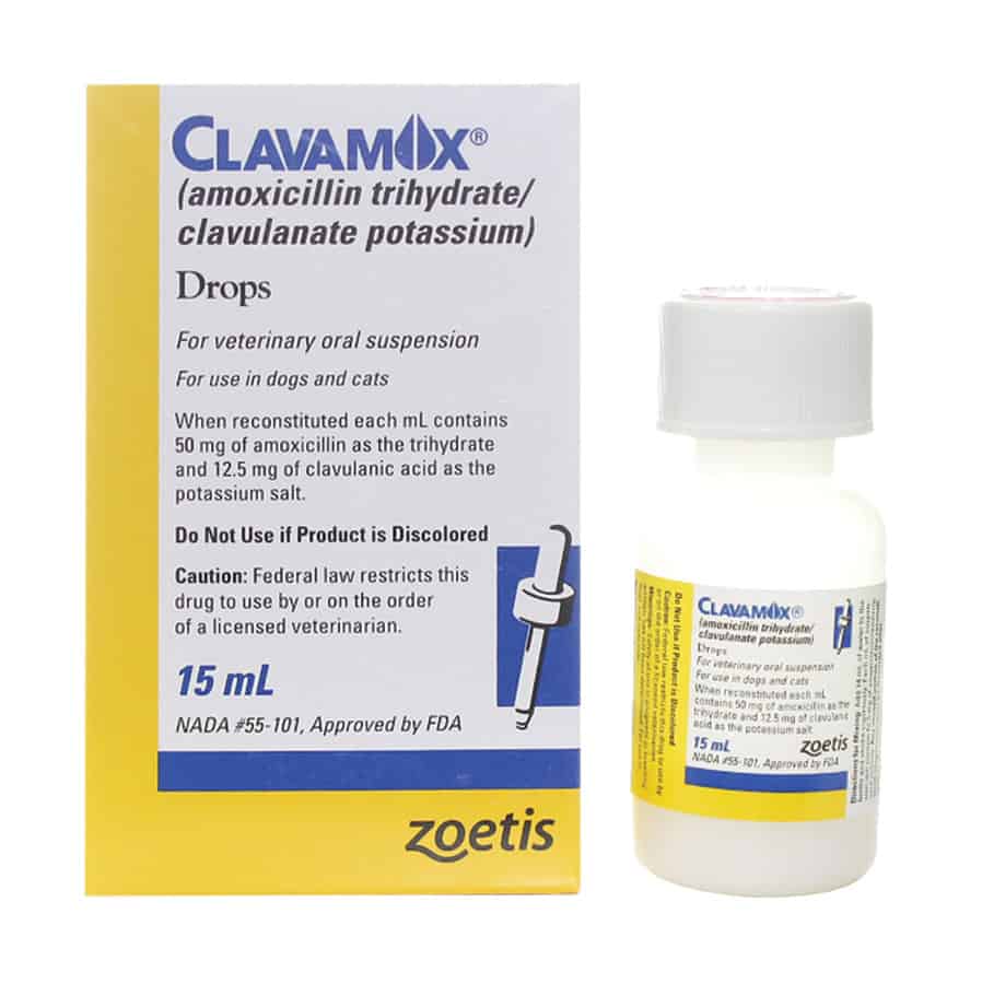Clavamox Drops 15ml Broad Spectrum Antibiotic Upco Pet Supply