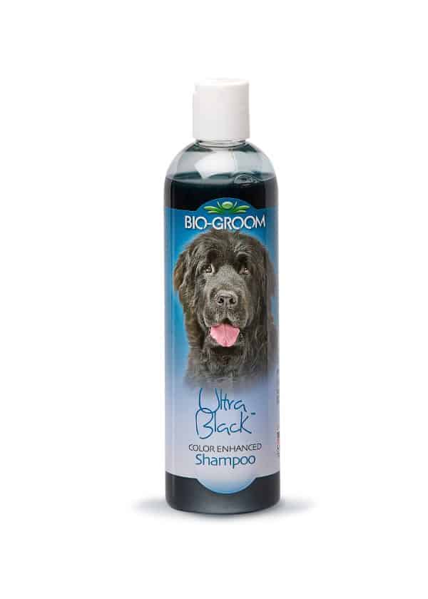 bio-groom-ultra-black-shampoo-12-oz
