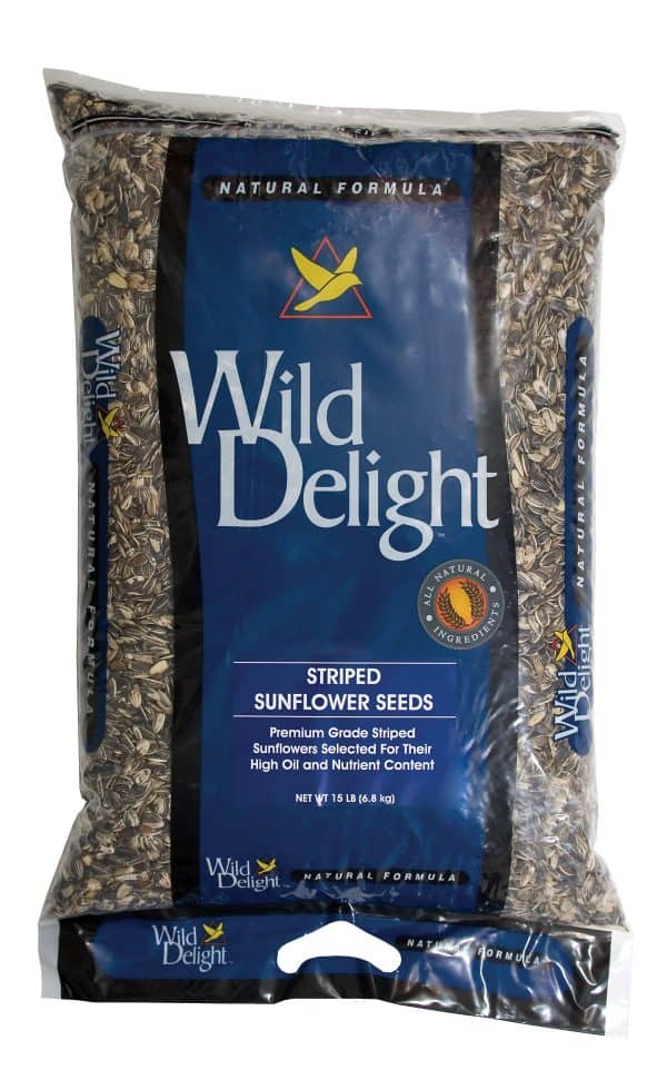 wd-stripe-sunflower-seeds-15