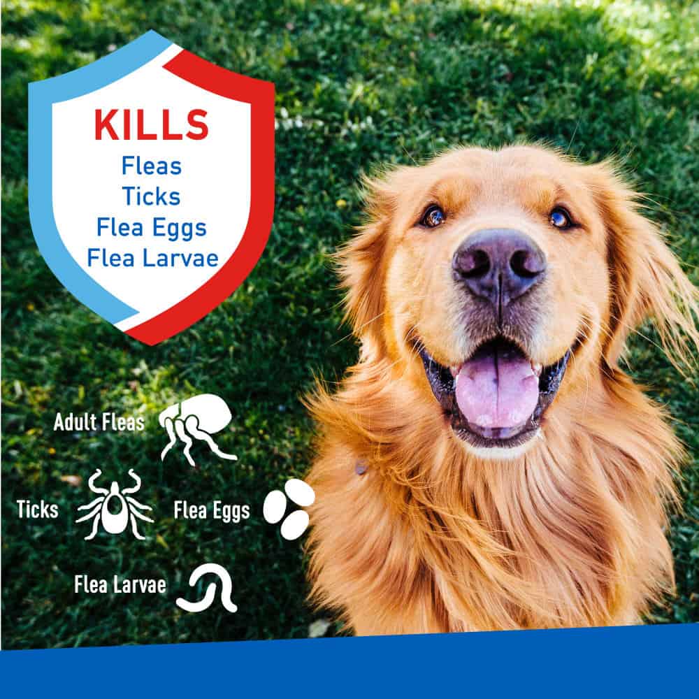 adams-plus-flea-spray-info