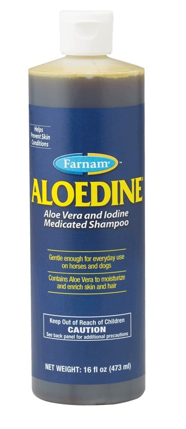 aloedine-aloe-vera-and-iodine-medicated-shampoo-16-oz