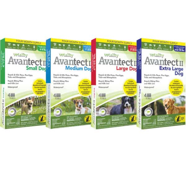 avantect-4-pack
