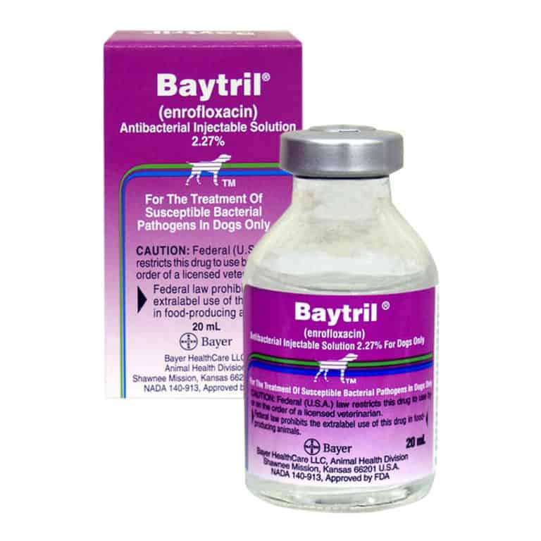 Baytril, Pet Dermal Infection Lambert Vet Supply