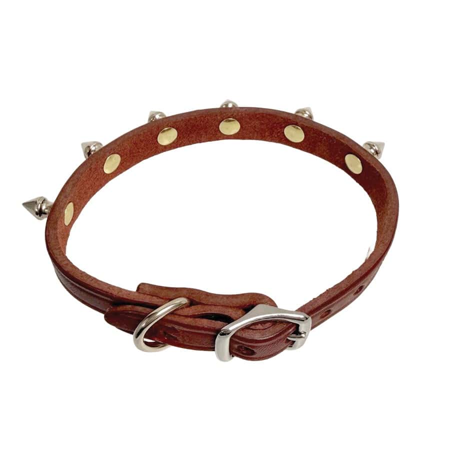 Brown-Studded-Collar-Small2