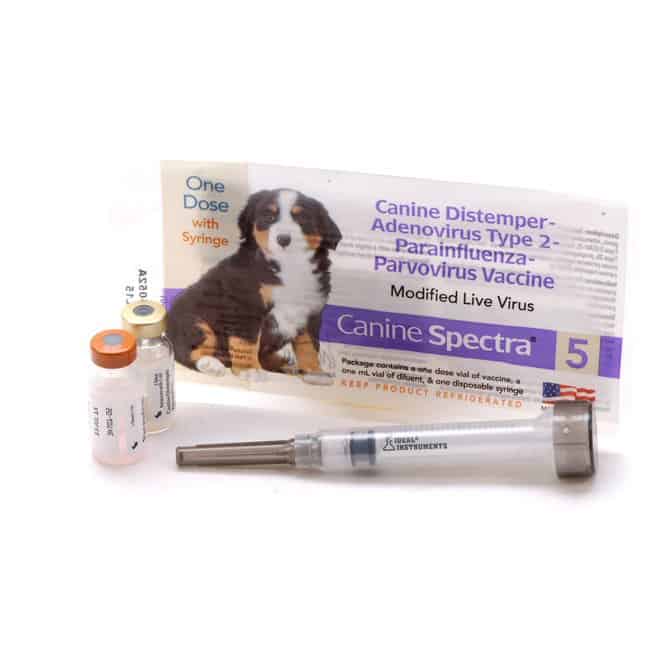 Spectra 5 in 1 puppy sale shot