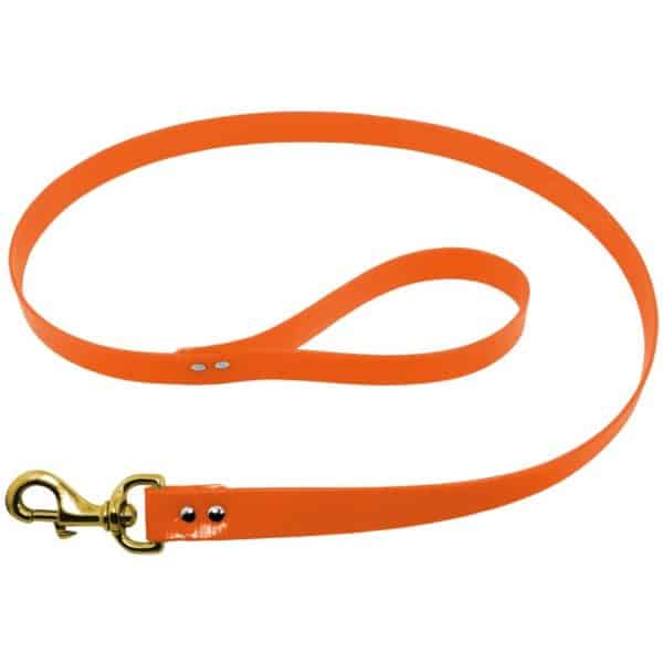 day-glow-orange-leash