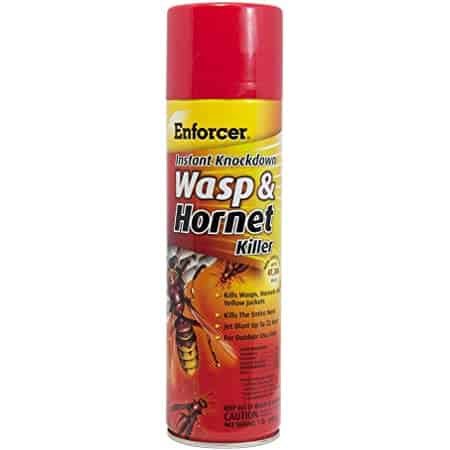 wasp-hornet-killer-16oz