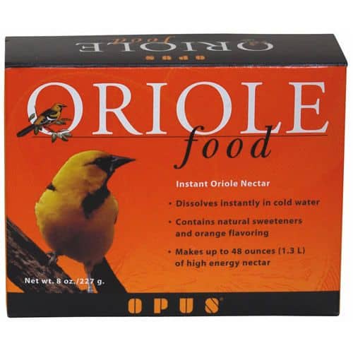 instant-oriole-food