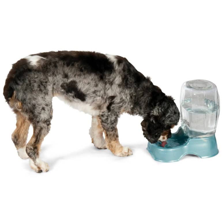 Petmate Gravity Waterer Water Bowl .75 Gallon