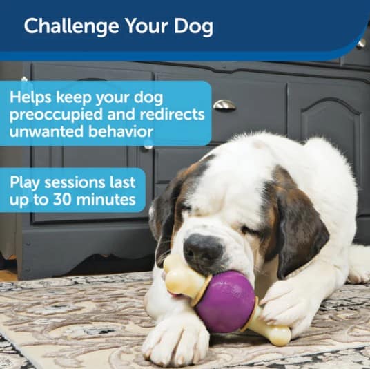 Petsafe-Bouncy-Bone-info3