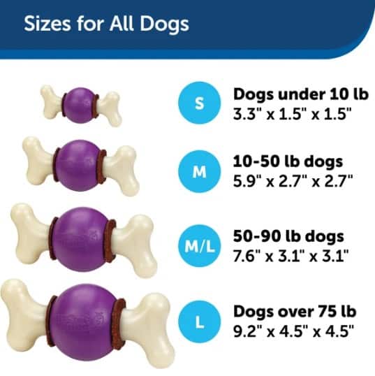 Petsafe-Bouncy-Bone-info4