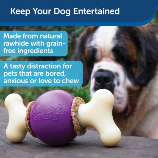 Petsafe-Bouncy-Bone-info
