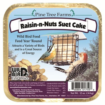 raisin-nuts-suet-cake
