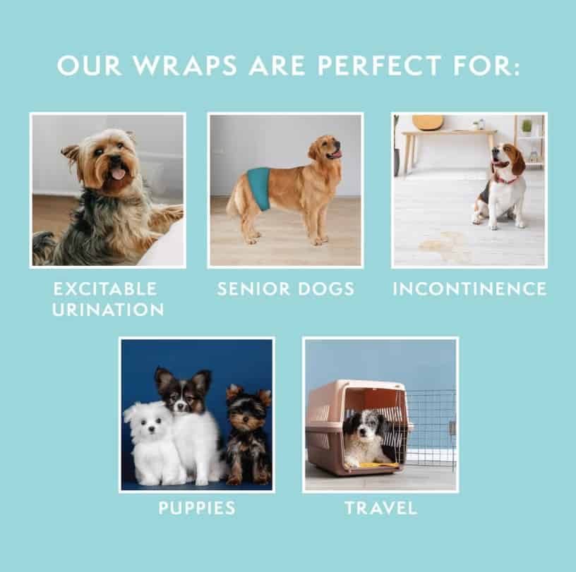 SS-Washable-Male-Wrap-INFO2