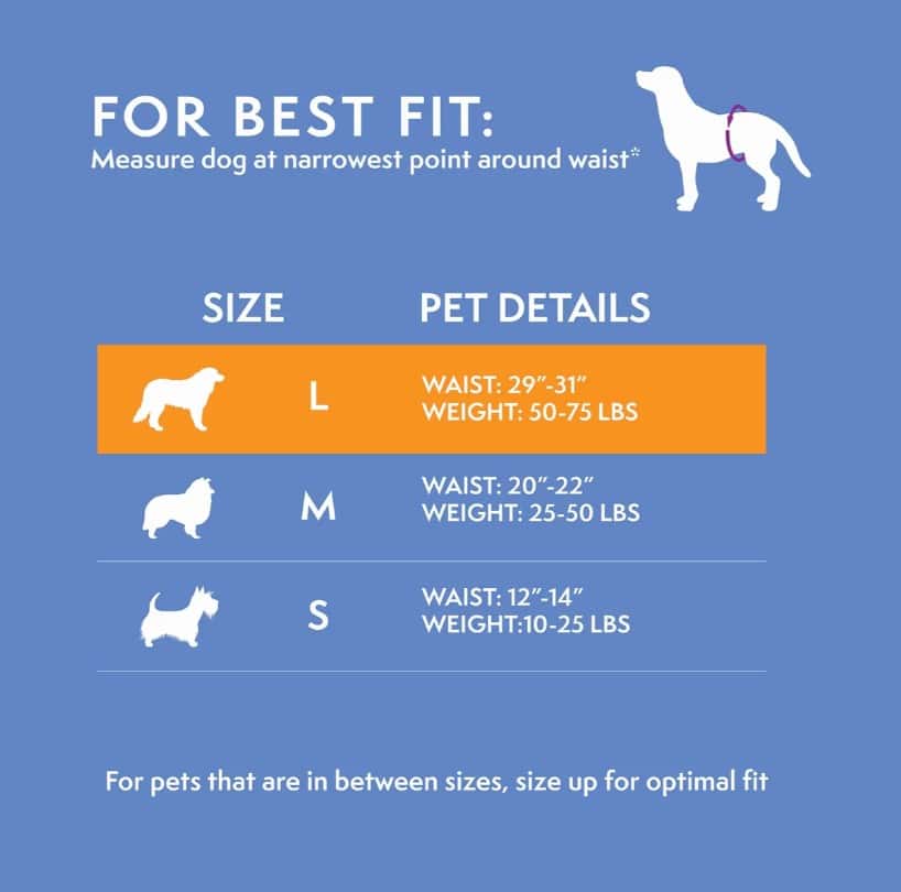 Simple Solution® Washable Male Dog Wrap Large