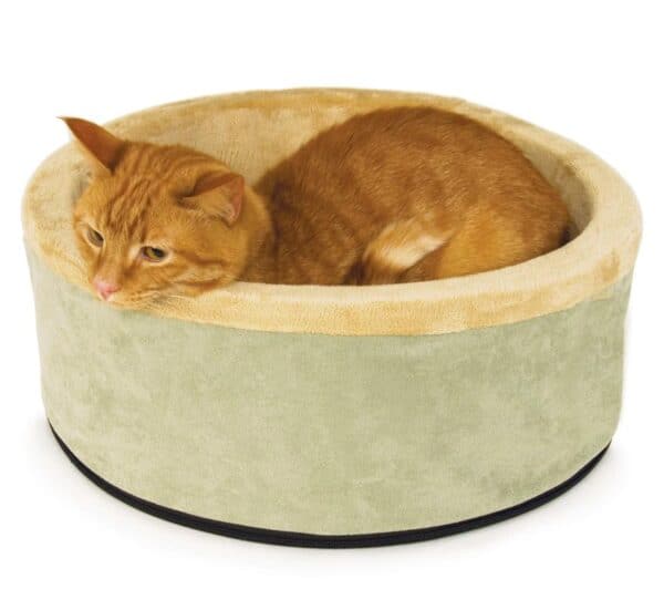 thermo-kitty-bed