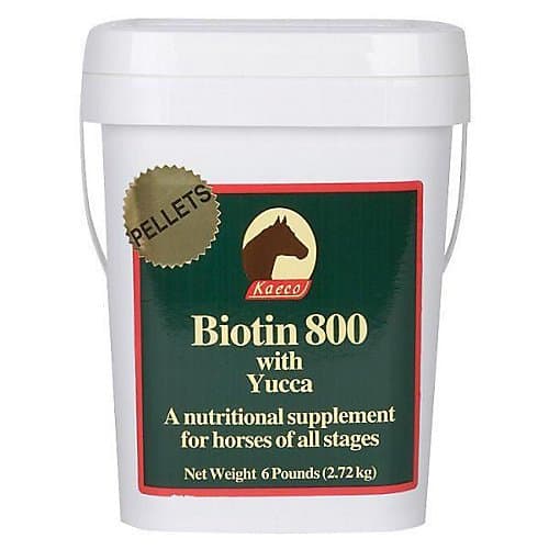 biotin-800-eq-6