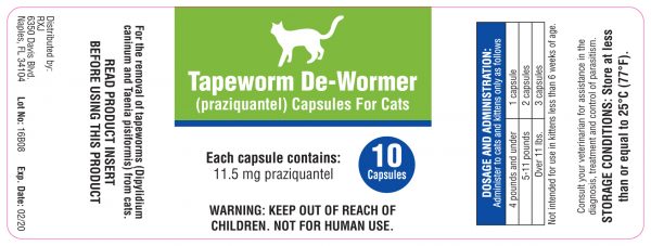 tapeworm-cat-10ct