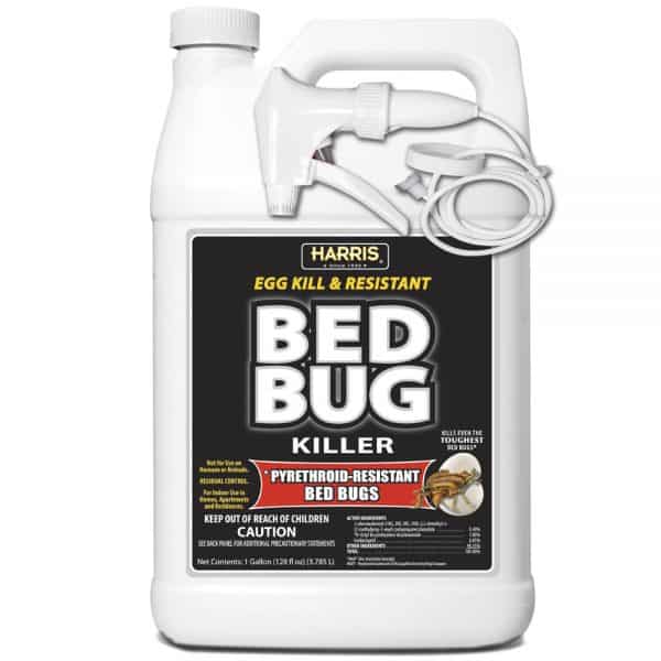bed-bug-bk-spray-gal