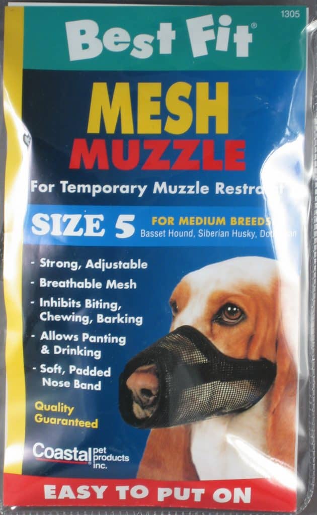basset hound muzzle