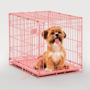 How To Crate Train A Puppy | The Essentials of Puppy Crate Training 101 | Pink Crate Cute Doggo