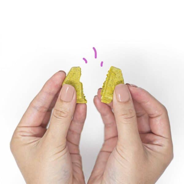 pain-relief-tasty-turmeric-flavored-cbd-treats-for-dogs