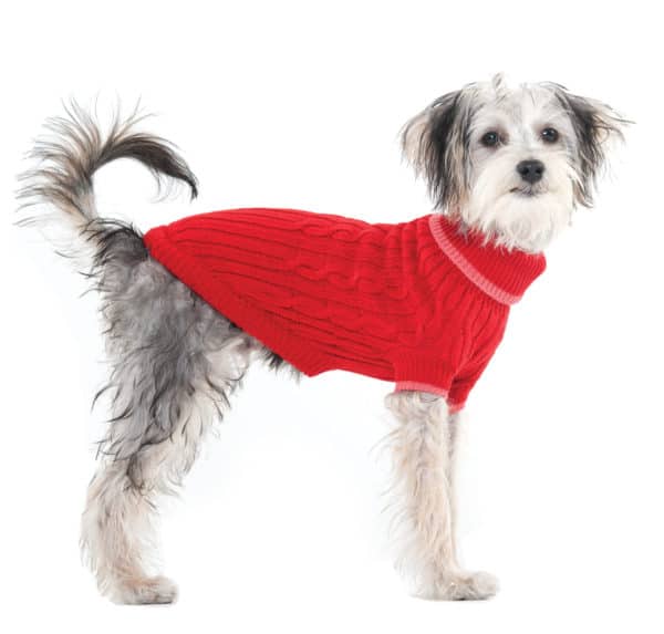 cable-dog-sweater
