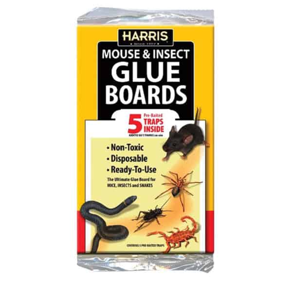 harris-mouse-insect-glue-boards