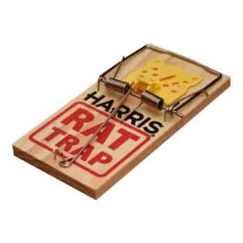 harris-rat-trap-wood