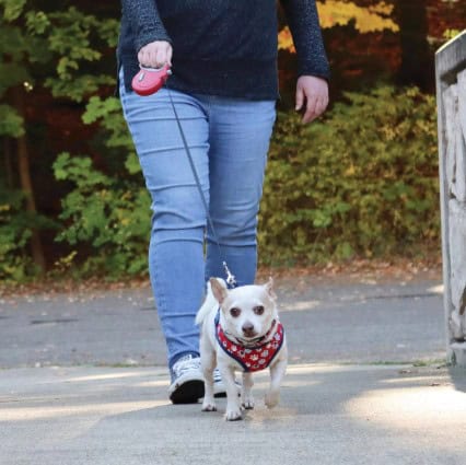 Power Walker Mini Retractable Dog Leash 12'