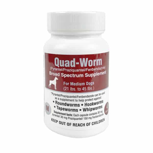 quad-worm-medium