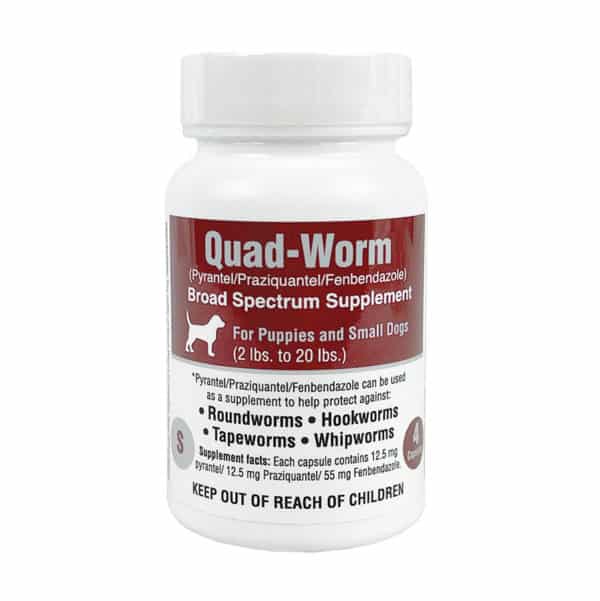 quad-worm-small