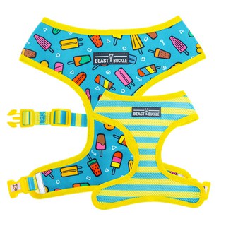 popsicle-reversible-harness
