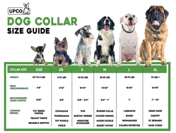 collar-size-guide