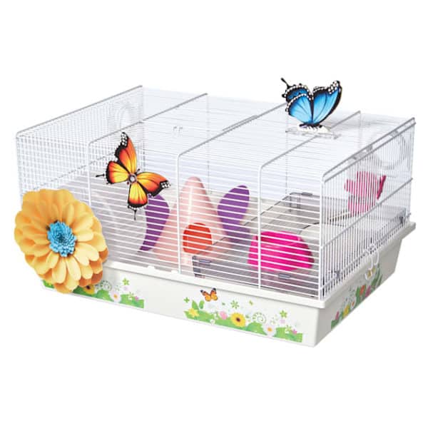 butterfly-hamster-home