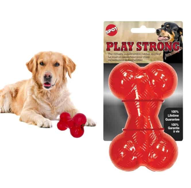 SPOT-Play-Strong-BONE-INFO