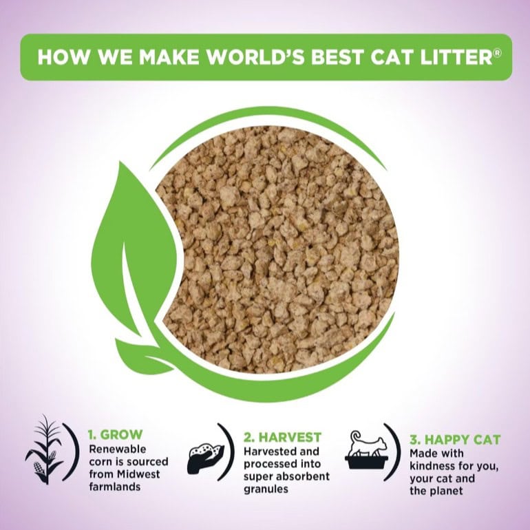 Worlds-Best-Multi-Lavendar-INFO