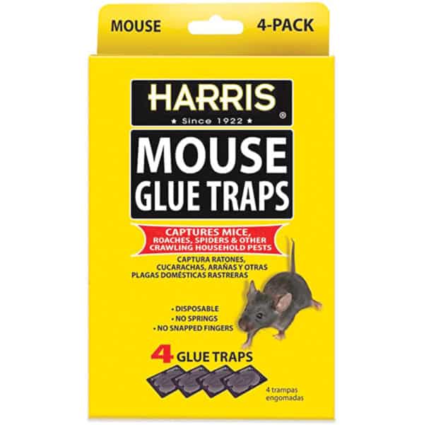 mouse-glue-traps-4