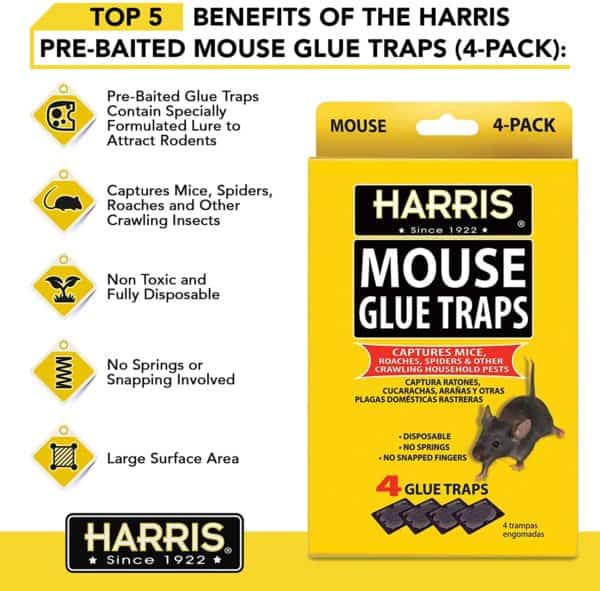 Harris Catch & Release Humane Mouse Traps 3 Pack - PF Harris
