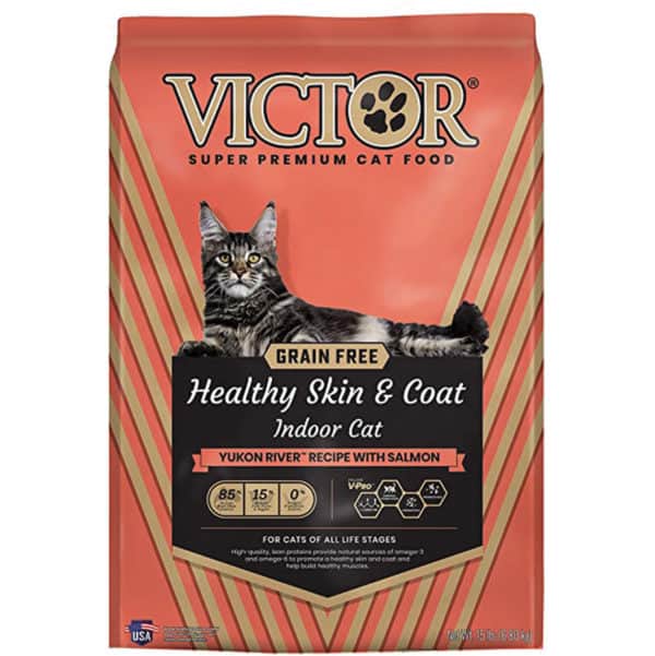 victor-healthy-skin-coat-cat