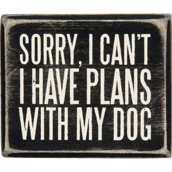 tiny-sign-plans-dog