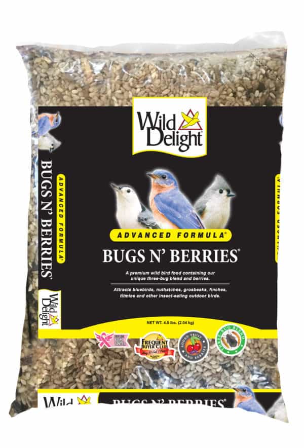 bugs-n-berries-5