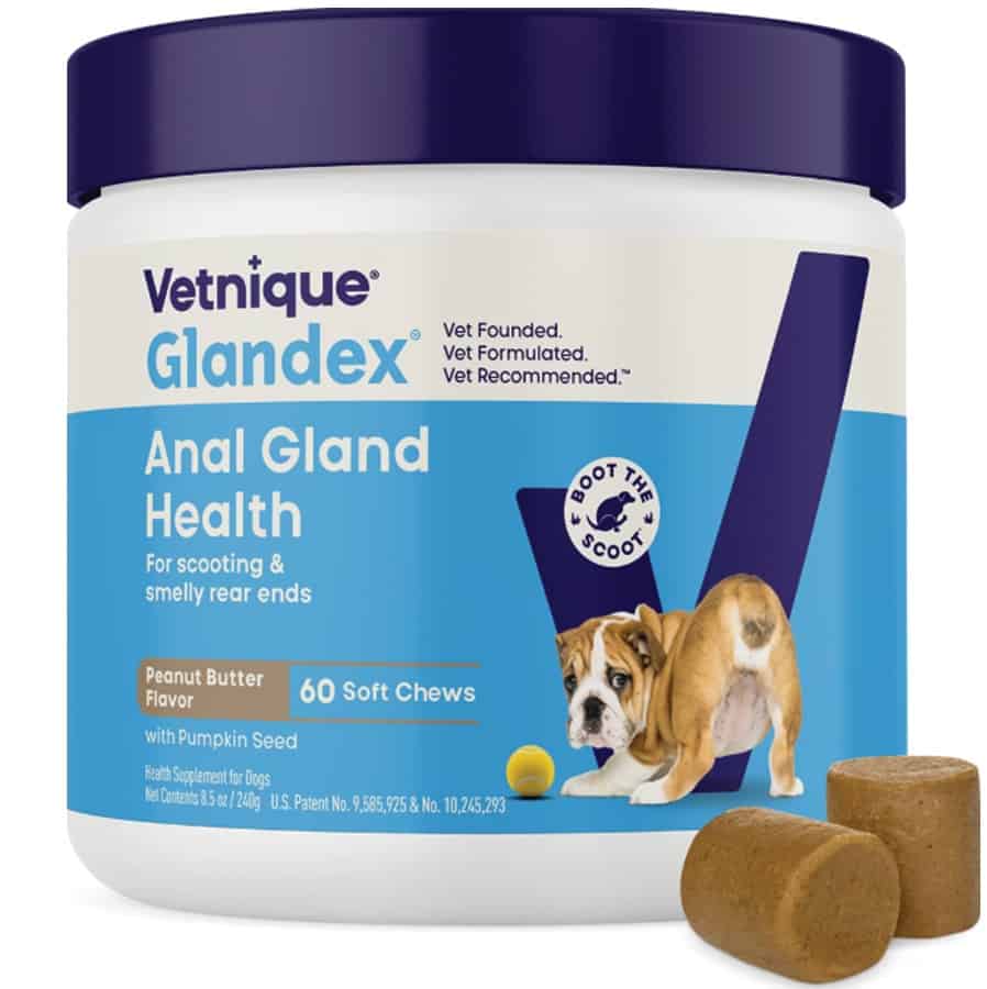 Glandex® Anal Gland Soft Chew Supplement for Dogs 60 Ct