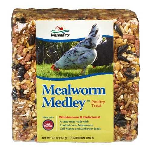 mealworm-medley