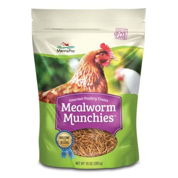 mealworm-munchies