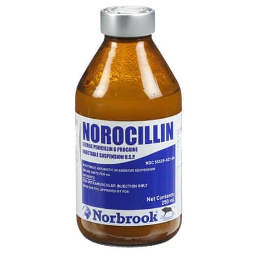 norocillin-injectable-suspension-penicillin-g-procaine-250ml