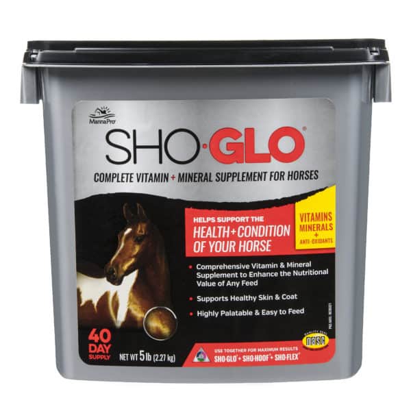 horse-sho-glo-5