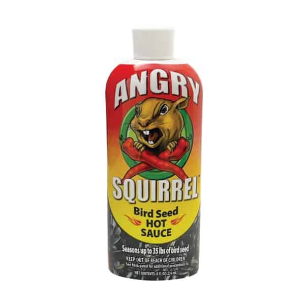 angry-squirrel-sauce