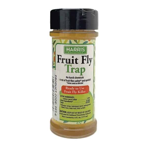 fruit-fly-trap-6