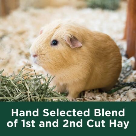 Kaytee Timothy Hay + Cranberries 24 oz